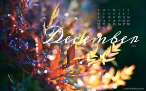December-2019-free-calendar-wallpaper-for-laptop-desktop