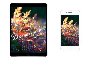 December-2019-free-calendar-wallpaper-for-iPad-tablet-and-iPhone-smartphone