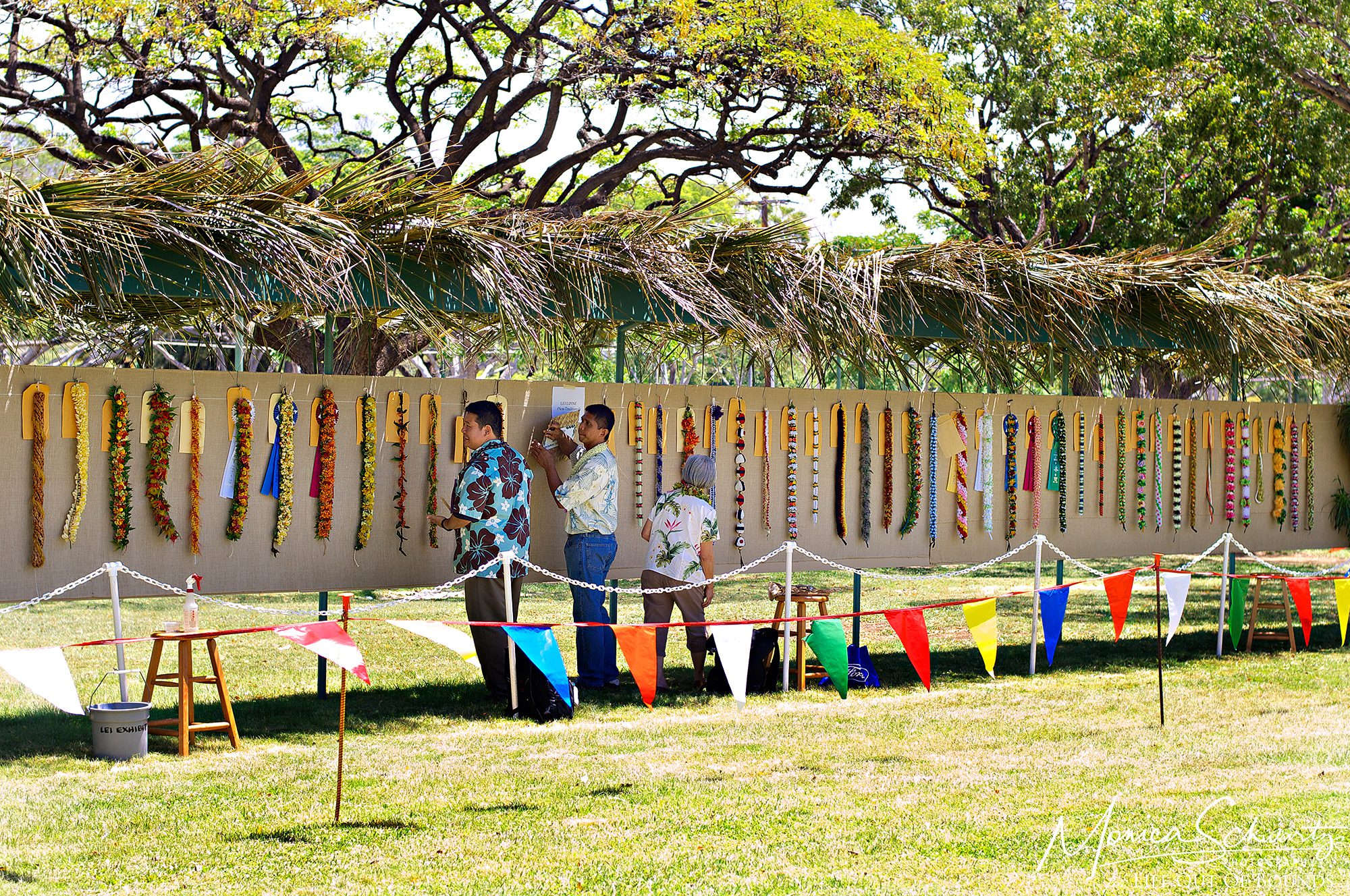 Lei-in-competition-at-Lei-Day-celebrations-in-Honolulu-Hawaii-2013