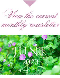 June-2020-newsletter