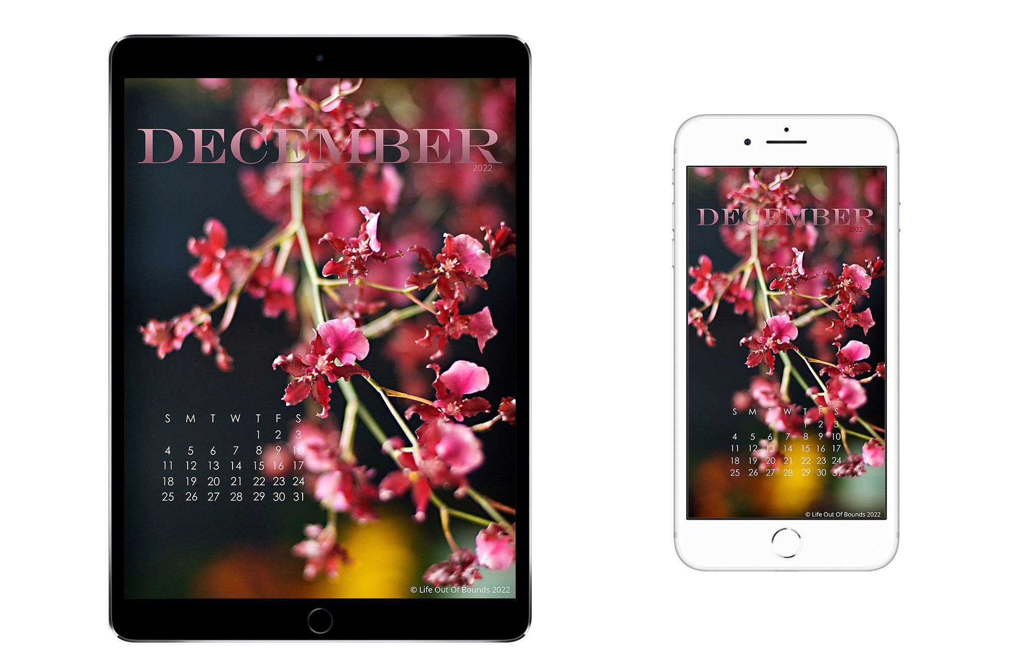 December-22-free-calendar-wallpaper-for-iPad-tablet-iPhone-and-smartphone