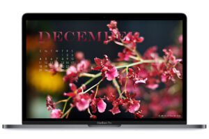 December-22-free-calendar-wallpaper-for-laptop-and-desktop