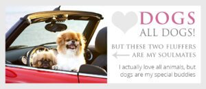 About-me-I-love-dogs-and-animals