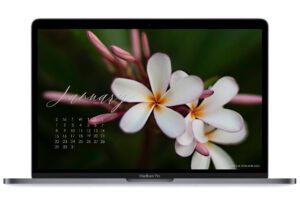January-2023-free-calendar-wallpaper-for-laptop-and-desktop