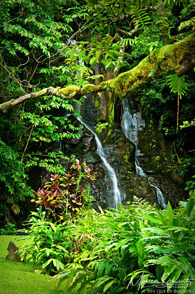 The Faerie of Luakaha Falls | O’ahu, Hawai’i | Life Out of Bounds