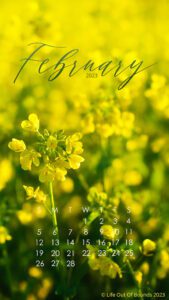 February-23-free-calendar-wallpaper-for-iPhone-smartphone-featuring-wild-mustard-in-a-Napa-Valley-Vineyard