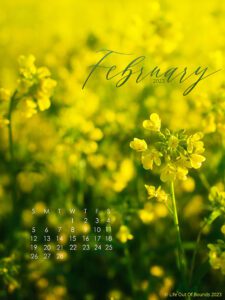 February-23-free-calendar-wallpaper-for-iPad-tablet-featuring-wild-mustard-in-a-Napa-Valley-Vineyard