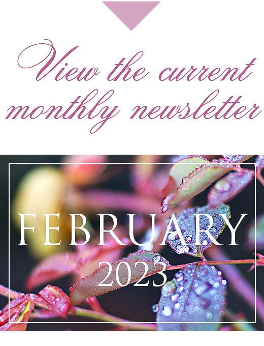 February-2023-newsletter