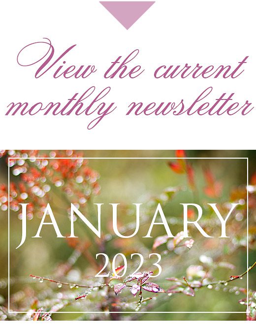 January-23-Newsletter