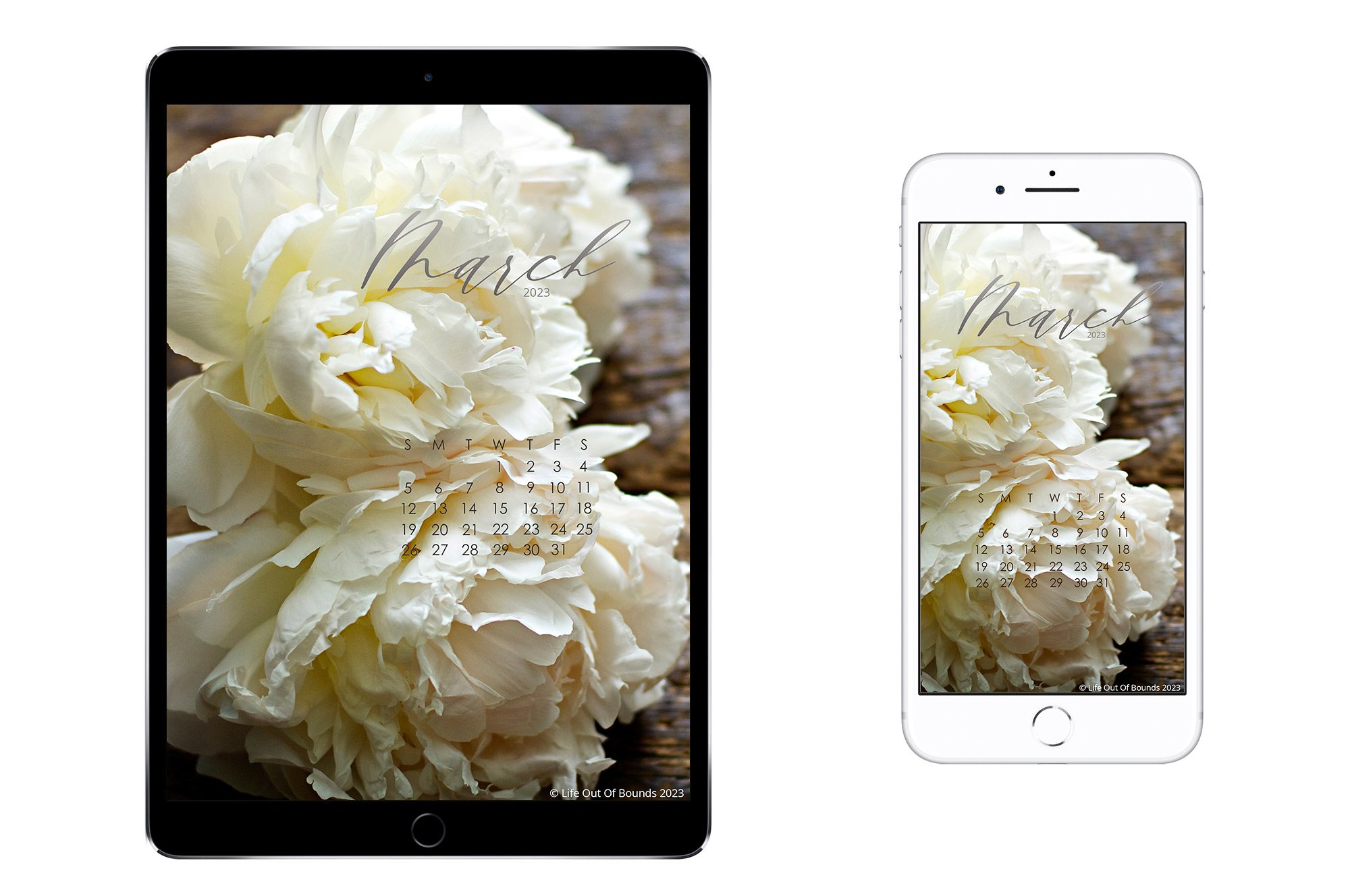 March-23-free-calendar-wallpaper-for-ipad-tablet-iphone-smartphone-featuring-white-peonies