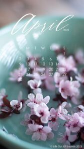 April-23-free-calendar-wallpaper-for-iPhone-smartphone