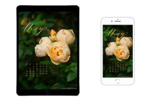 May-2023-calendar-wallpaper-for-iPad-tablet-iPhone-smartphone