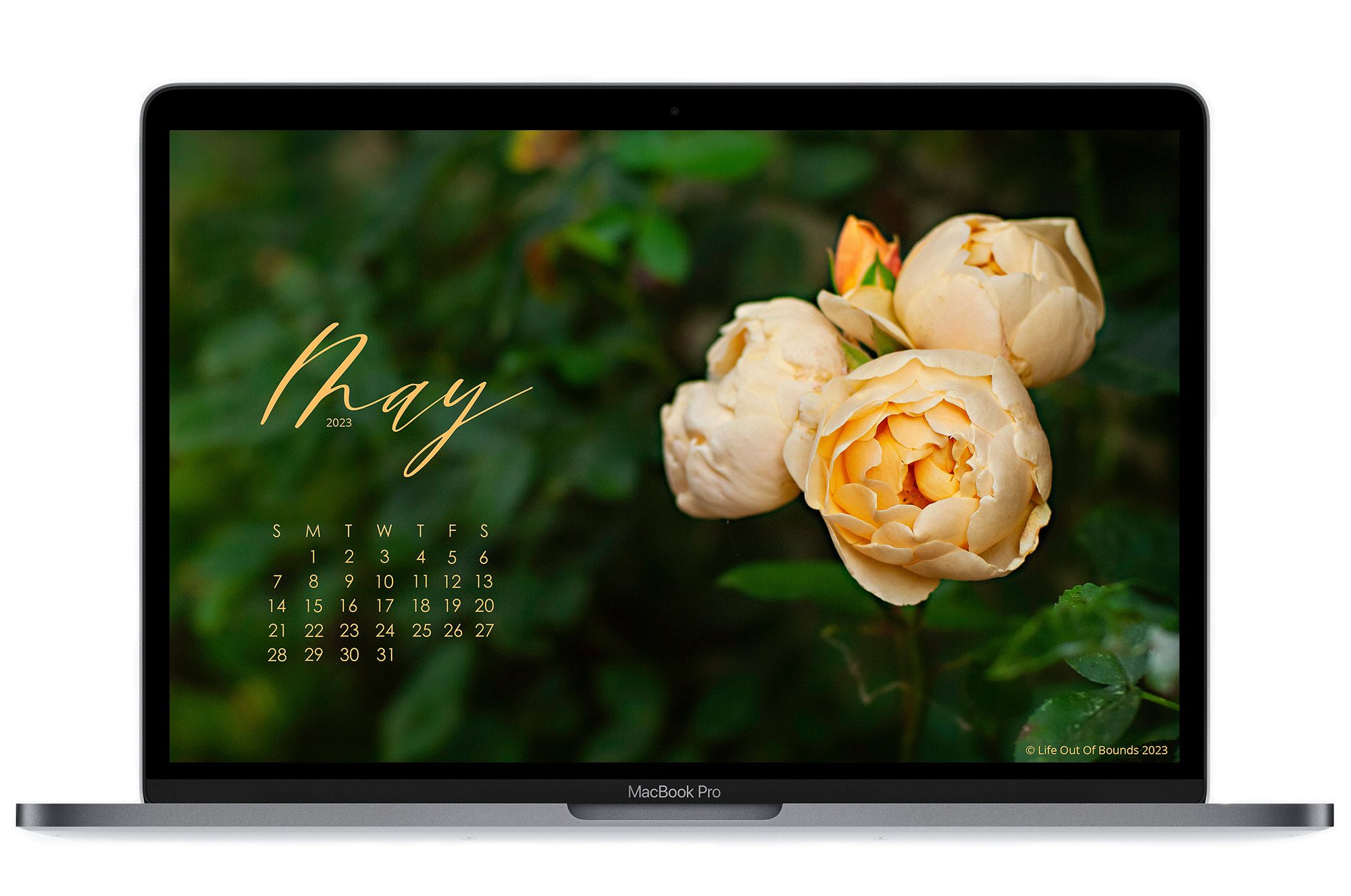 May-2023-calendar-wallpaper-for-dekstop-and-laptop