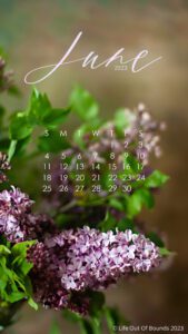 June-23-free-calendar-wallpaper-for-iPhone-and-smartphone