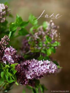 June-23-free-calendar-wallpaper-for-iPad-and-tablet