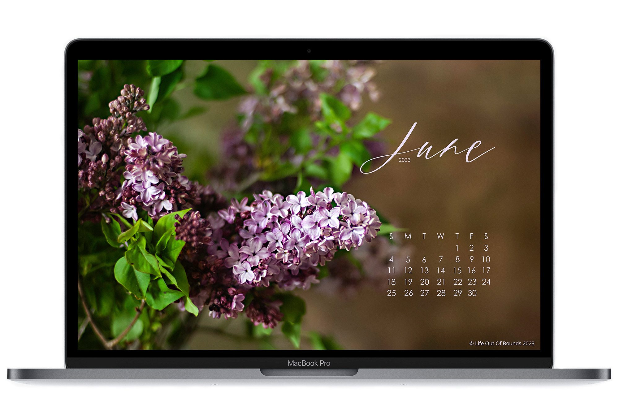 June-23-free-calendar-wallpaper-for-laptop-and-desktop