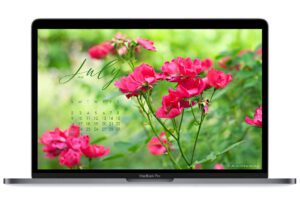July-23-free-calendar-wallpaper-for-laptop-and-desktop