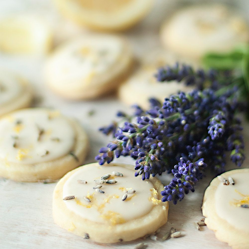 Lemon-Lavender-Shortbread-Cookies-for-Niqui-Bakes