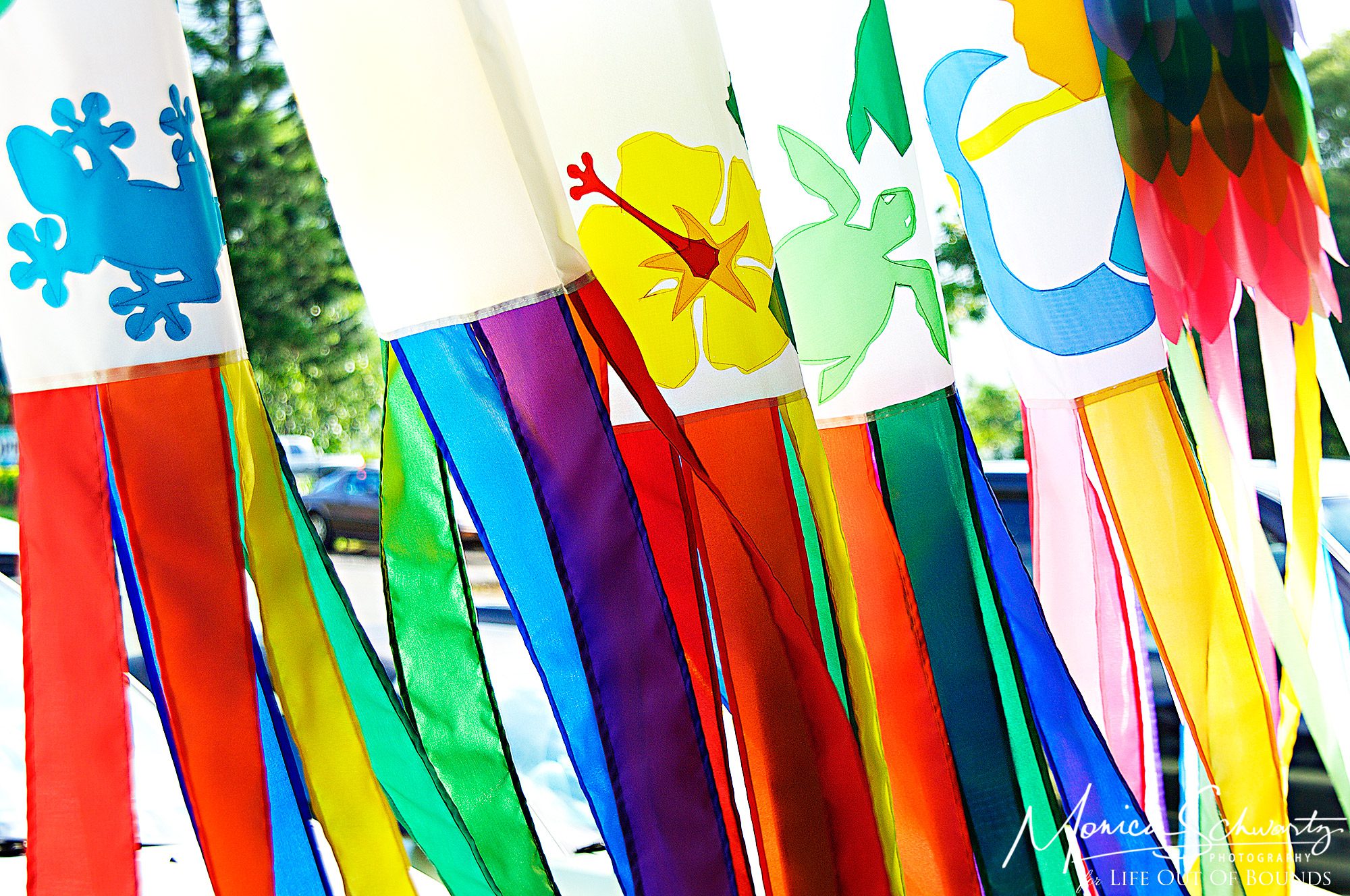 Color-therapy-colorful-windsocks-outside-a-shop-in-Kauai