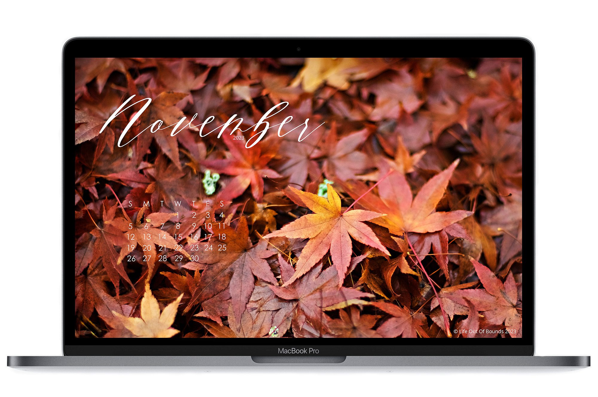 November-23-free-calendar-wallpaper-for-laptop-and-desktop