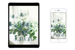 January-24-calendar-wallpaper-for-iPad-tablet-iPhone-and-smartphone