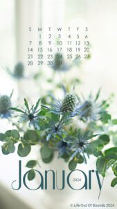 January-24-calendar-wallpaper-for-iPhone-and-smartphone