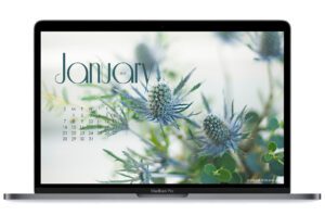 January-24-calendar-wallpaper-for-laptop-and-desktop