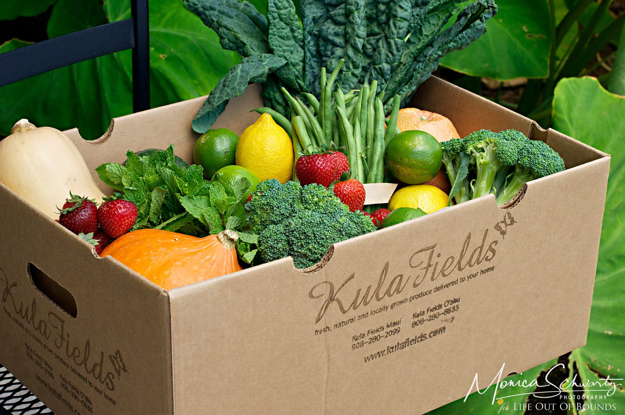 Fresh-fruit-and-vegetables-by-Kula-Fields-farm-on-Maui-Hawaii