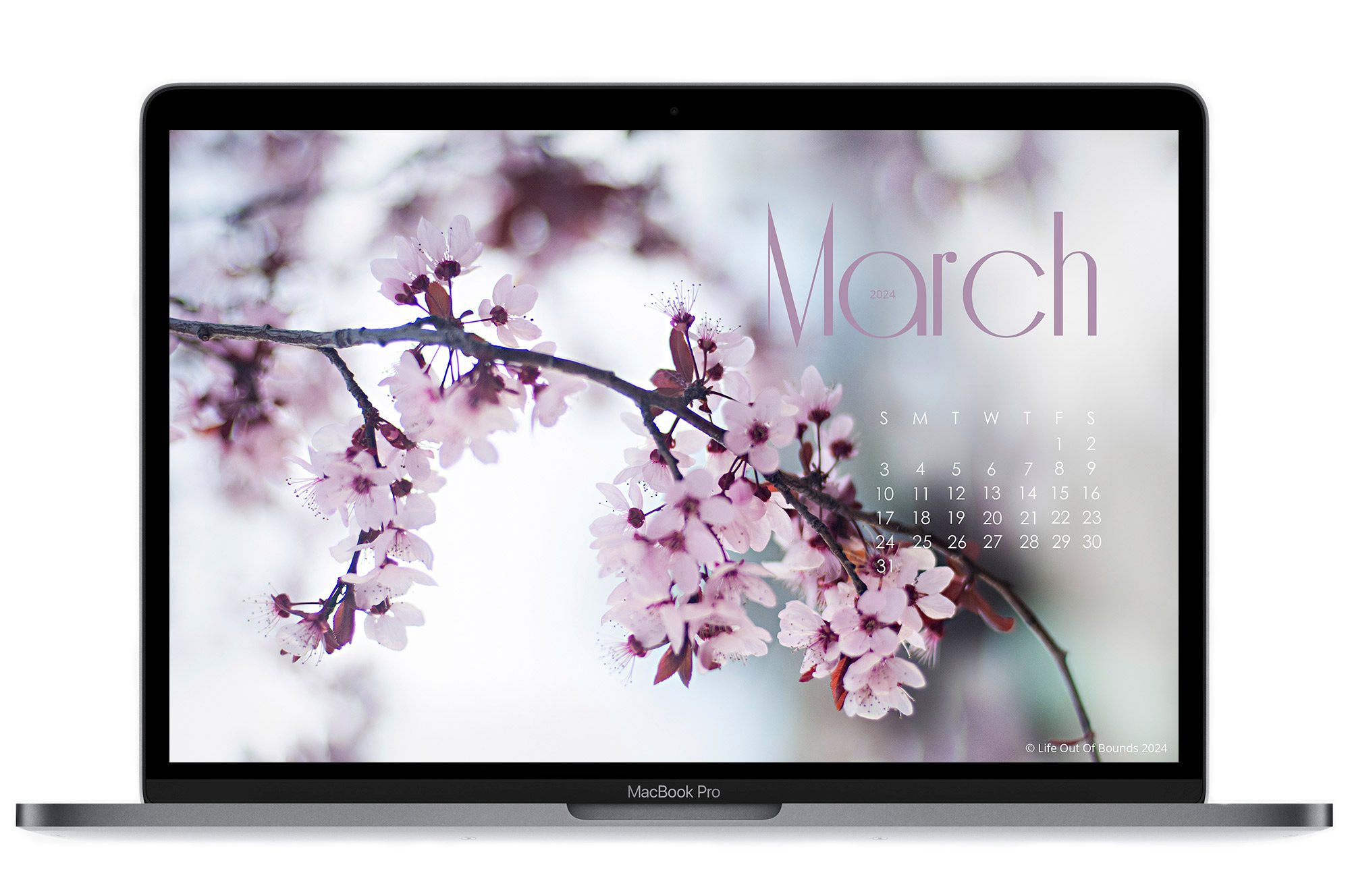 March-23-free-calendar-wallpaper-for-laptop-and-desktop