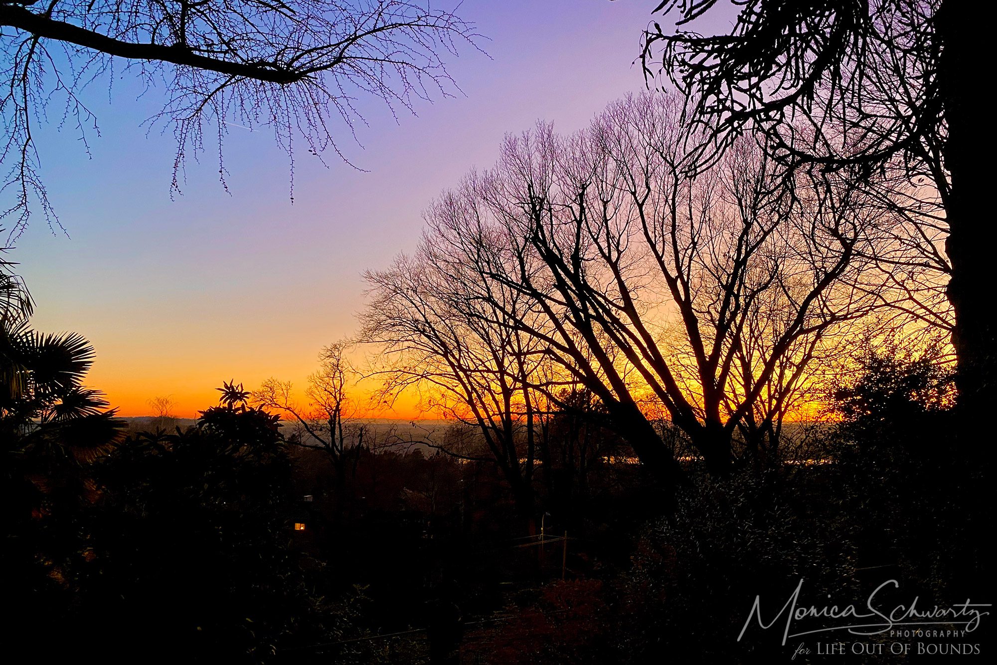 Sunset through the trees and over Lake Varese, Italy in winter