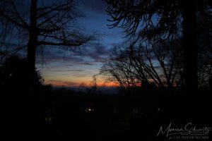Indigo dusk just after sunset on the garden in winter, Italy