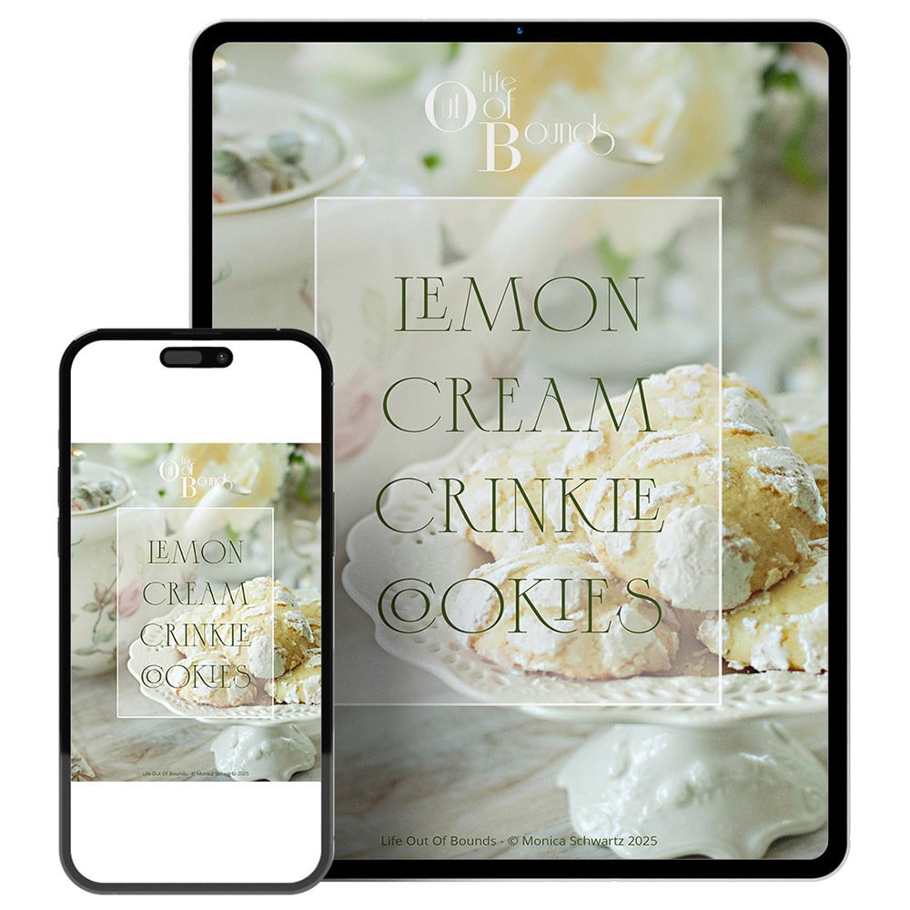 Downloadable Recipes Mock Up within iPad and iPhone