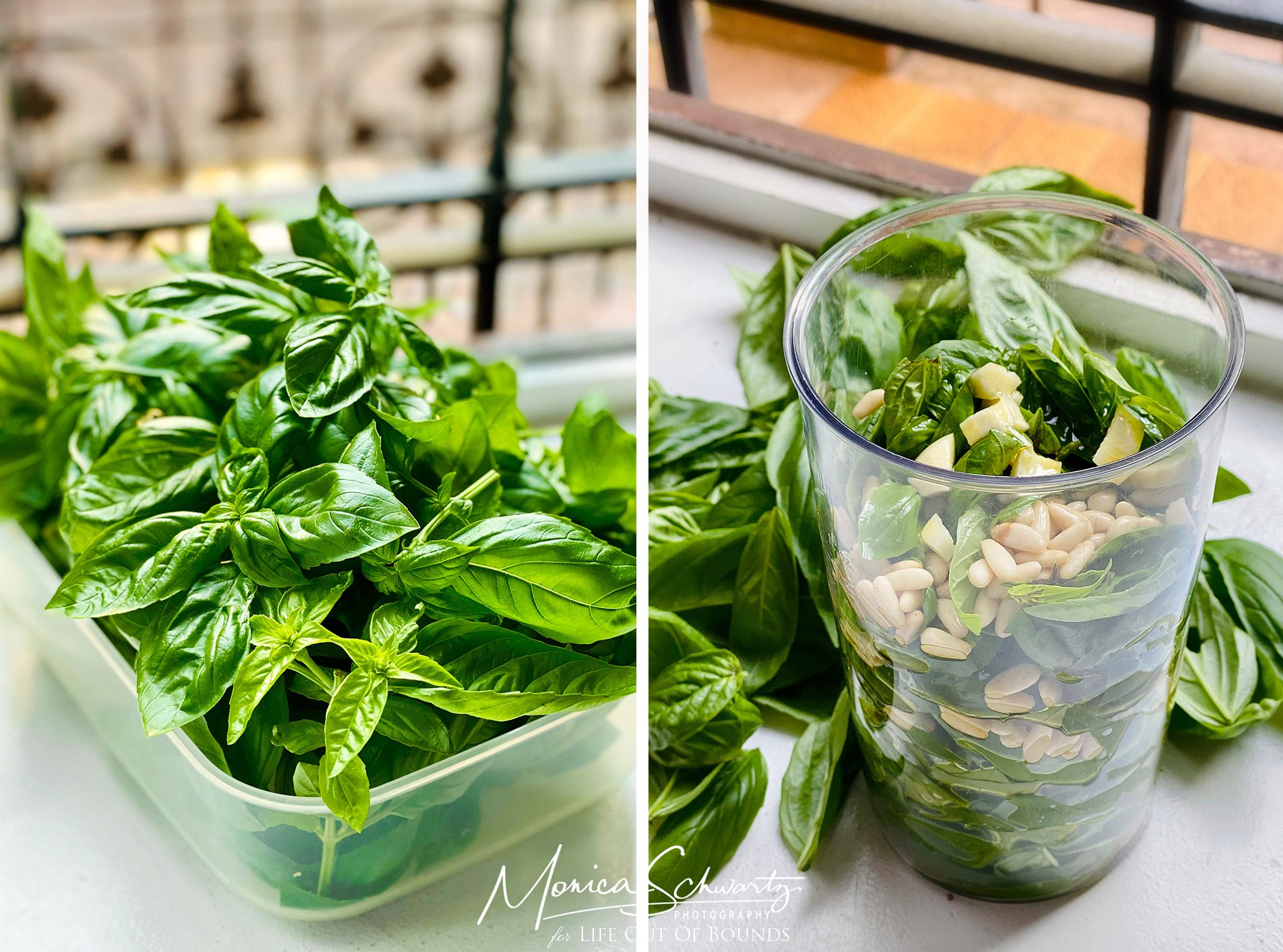Making Genoese Pesto sauce with basil, pine nuts, garlic, olive oil and Parmesan