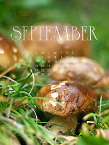 September 2025 free calendar wallpaper for iPad and tablet featuring Porcini mushrooms in grasses
