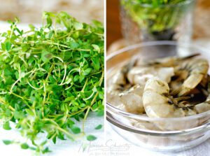 Shrimp and Thyme to make Gyoza (potstickers) with Shrimp, Kabocha and Thyme, recipe