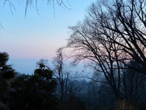 Soft pastel colors of a winter sunset in a garden in Italy