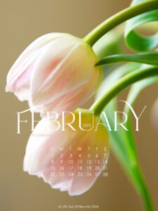 February 2026 free calendar wallpaper for iPad & tablet featuring pale pink tulips