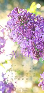 April 2026 new calendar wallpaper for iPhone and smartphone featuring a burst of lilac from the garden