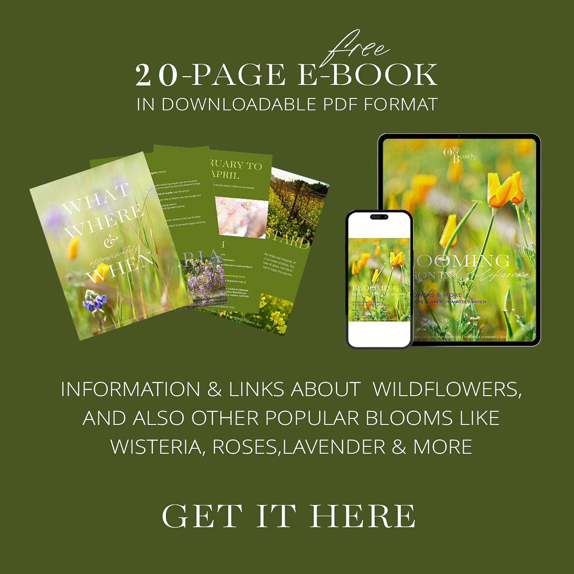 Blooming Season in California free e-book home page widget, too
