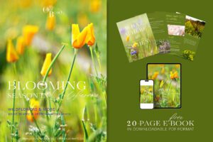 Blooming Season in California free e-book, Wildflowers and More, What, Where and approximately When