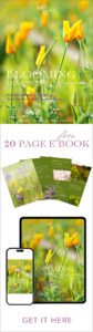 Free E-book "Blooming Season in California"