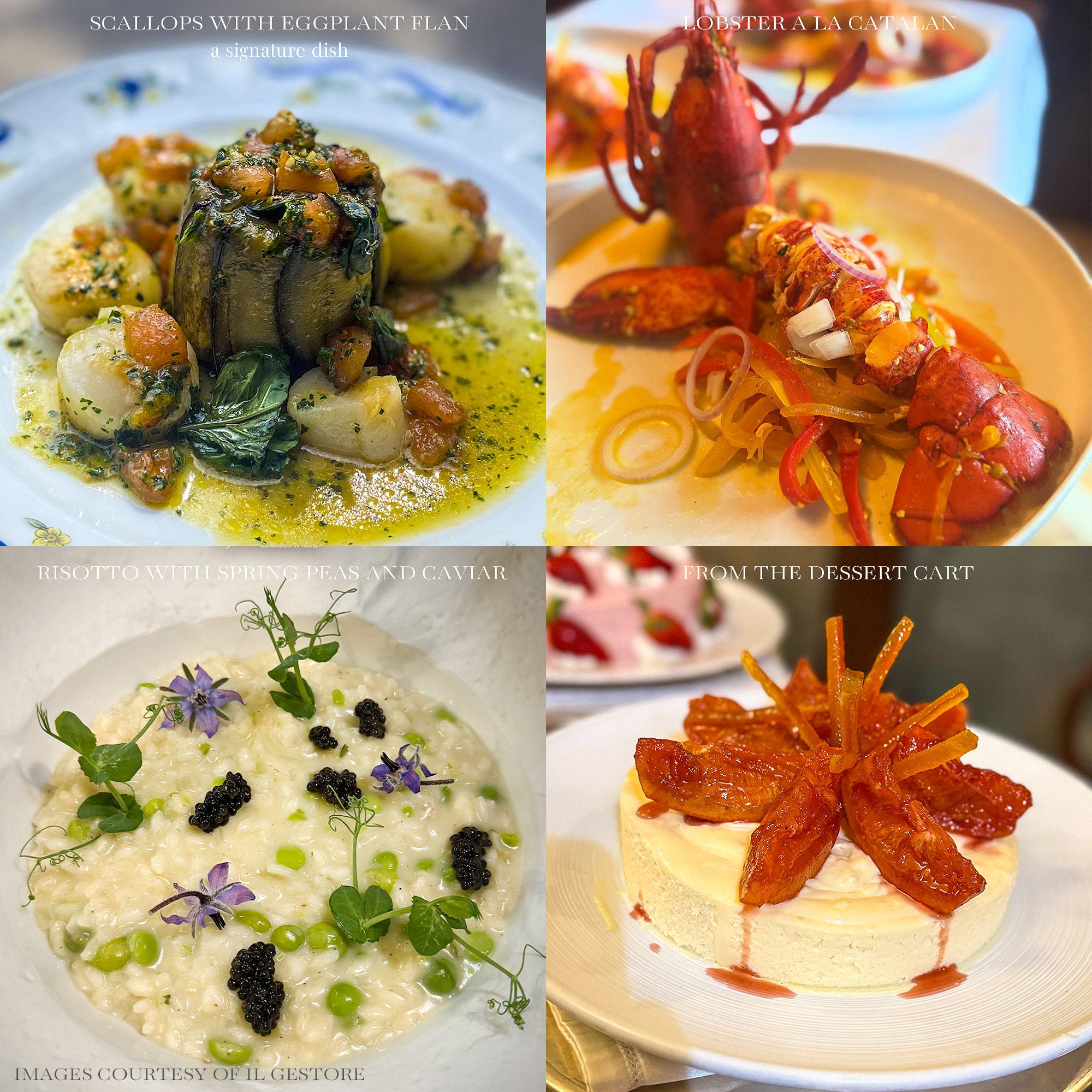 Delicious food at restaurant Il Gestore in Varese, Italy