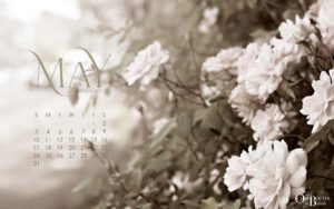Free Calendar Wallpaper for May 2026 for laptop/desktop