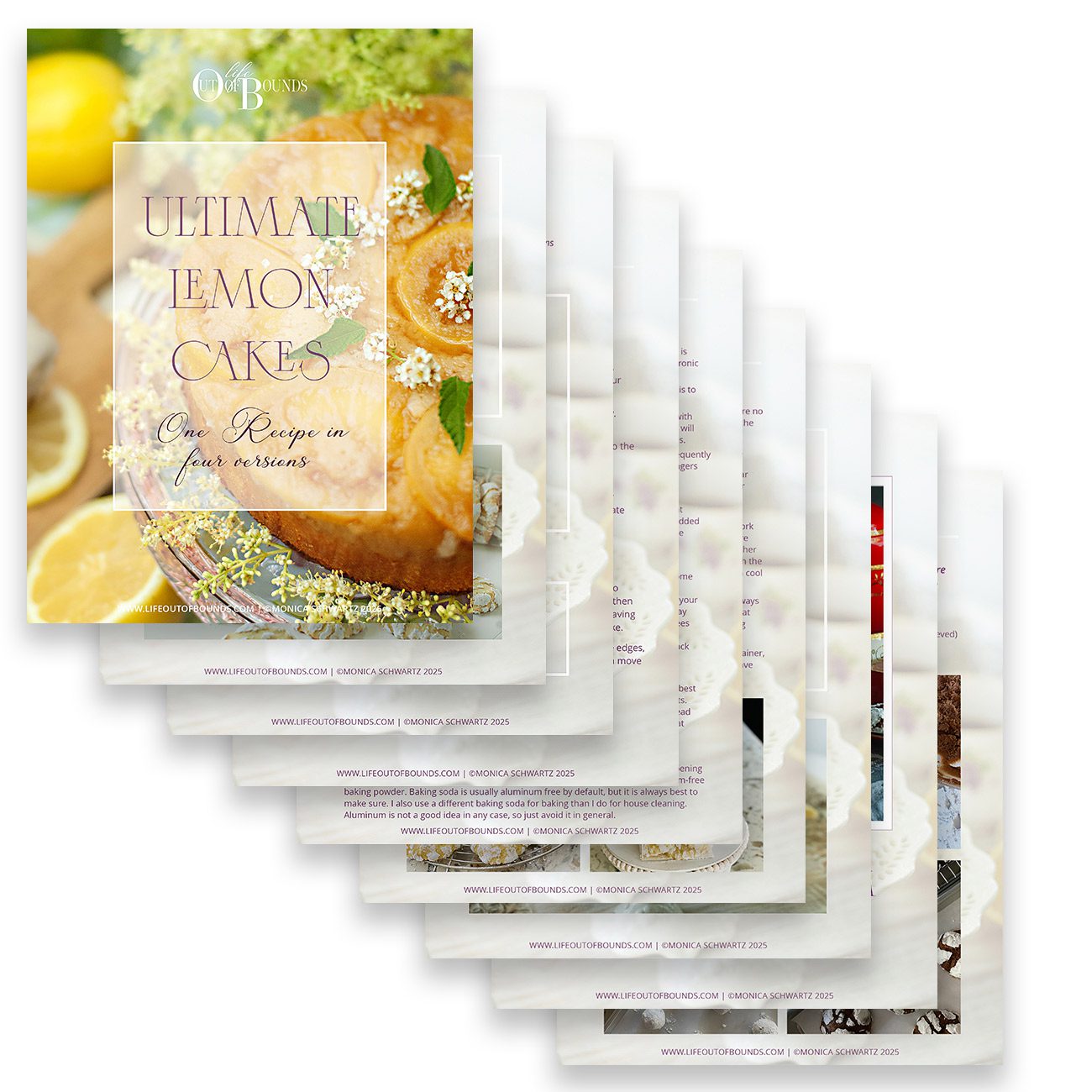 Downloadable recipes on PDF, file sample