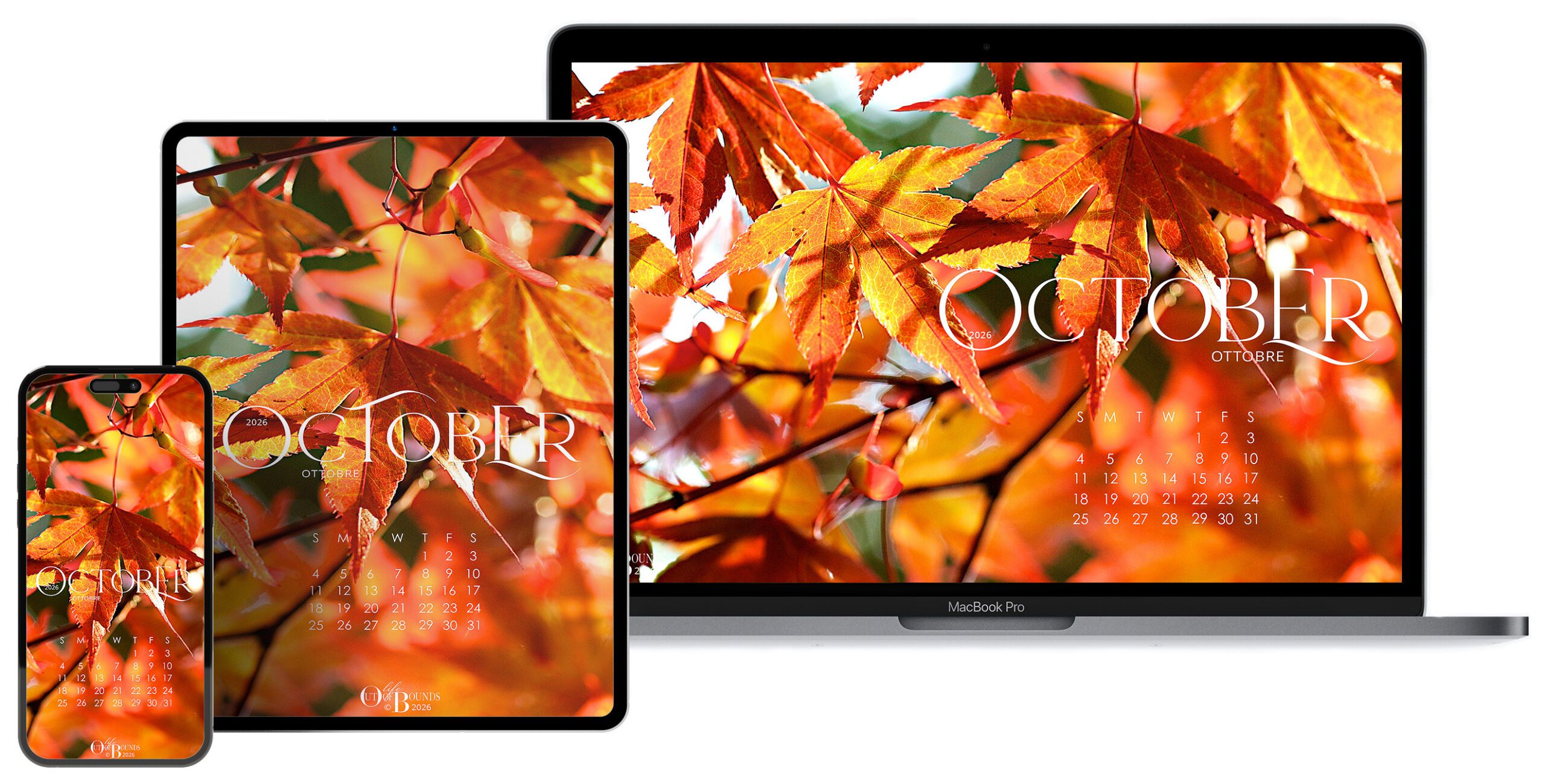 Free October 2026 calendar wallpaper for iPhone/smartphone, iPad/tablet and laptop/desktop featuring Japanese Maple leaves and branches through the sunlight