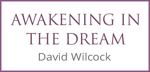 Awakening in the Dream, book by David Wilcock