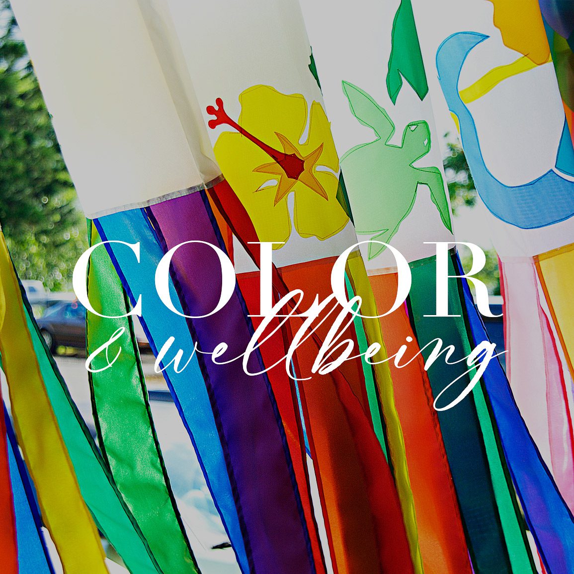 Color and Wellbeing widget for Stories page
