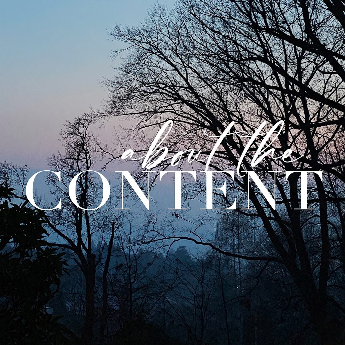 About the blog content, widget for About page