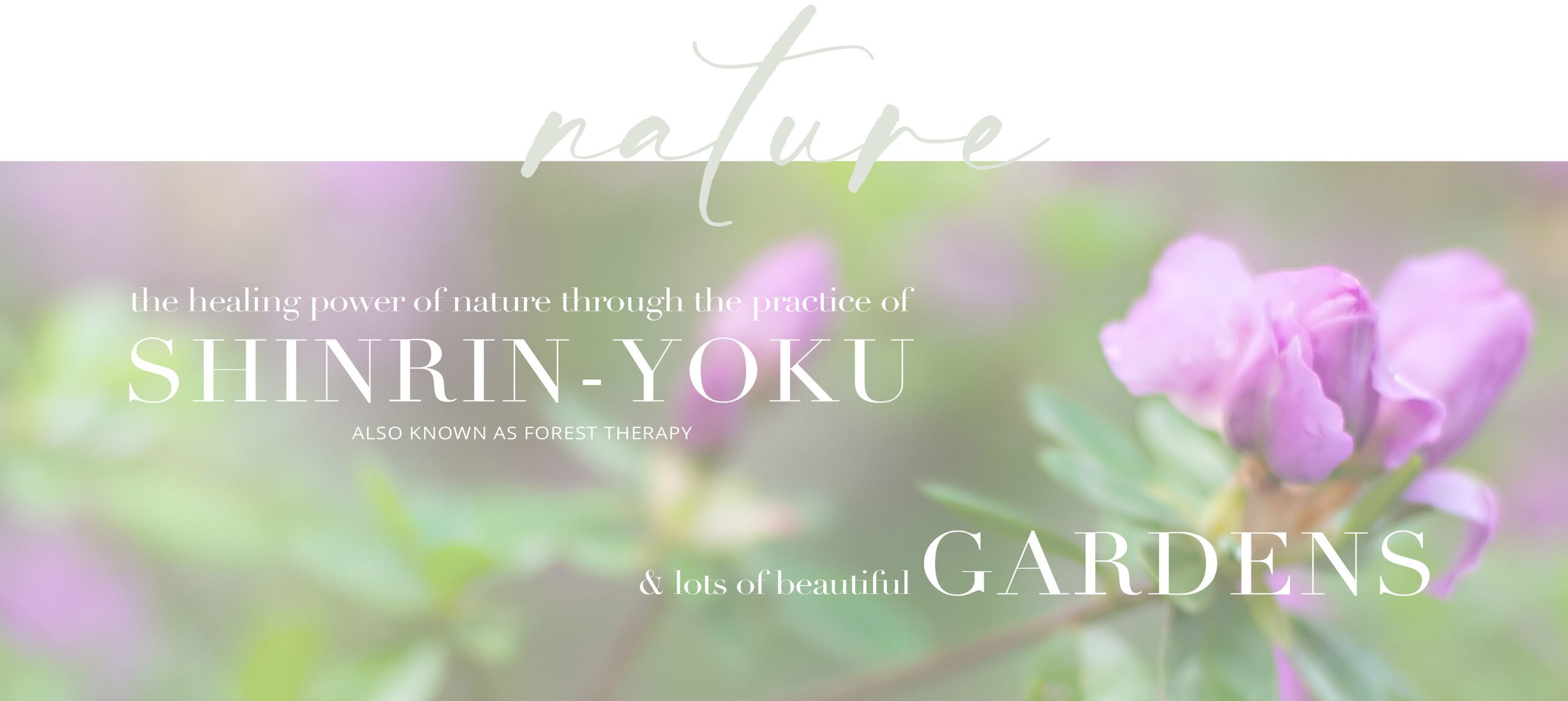 New Nature & Shinrin-Yoku Widget for home page