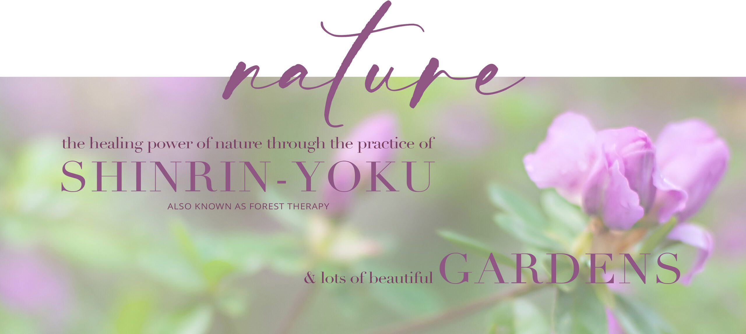 New Nature Widget for Home Page